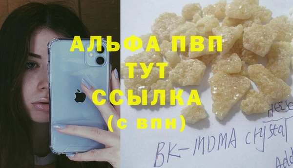 стафф Аркадак