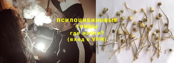 ECSTASY Армянск