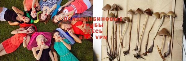 ECSTASY Армянск