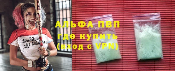 стафф Аркадак