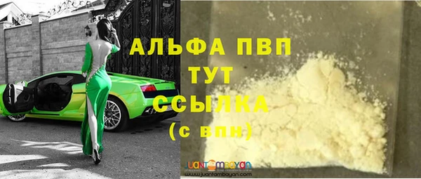стафф Аркадак