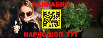 индика Пенза