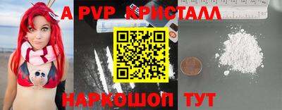 индика Пенза